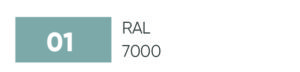 RAL7000