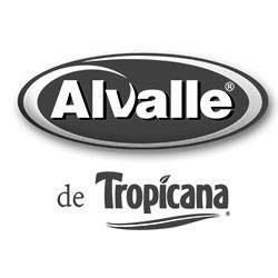 Logo Alvalle de Tropicana1