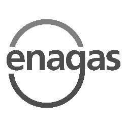 enagas logo