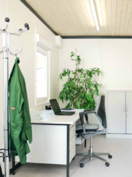 estancimas 6 estancimas uai