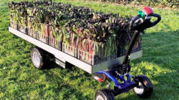 Transportador electrico JESPI L cargado en el campo uai