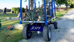 Transportador electrico JESPI L en jardin uai